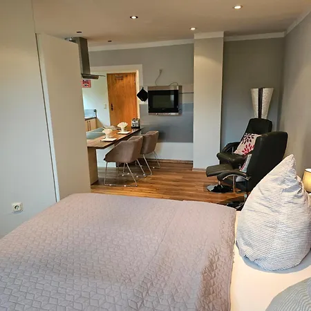 Apartmán Parterre Kamin Fehrenbach